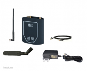 RL11w